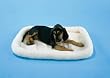 Precision Pet SnooZZy "Original" Fleece Pet Bed, Medium/Large 4000, 37" x 25", Natural