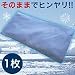 �ΐ쌦�D�@IceBody�@�~�j���@1��