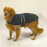 Casual Canine Jacket w/Reflective Stripe Xlg - HUNTER GREEN