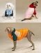 Red 3-in-1 All-Terrain Dog Jacket