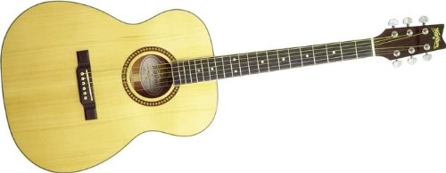 Washburn D10 Series Folk Style Acoustic Guitar