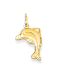 14k Hollow Dolphin Charm