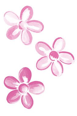 Childrens Toyshop  Toys : Pretty Pink DAISY FLOWERS Wallies Wallpaper Cutouts