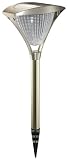 Neo Zone Stainless Steel Oval Top Garden Lights