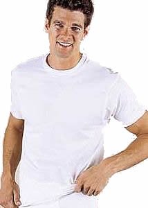 3 Hanes Crew T-shirts