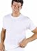 Sporting Goods : 3 Hanes® Crew T-shirts