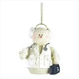 Snowberry Cuties Doctor