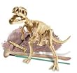 Dig-a-Dino Tyrannosaurus Rex