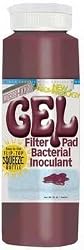 MIC PLUS GEL BACTERIA 32OZ