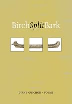 Birch Split Bark