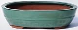 BuyBonsai's Bonsai Pot 7.25 Oval Glazed Green
