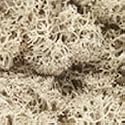 Lichen, Natural
