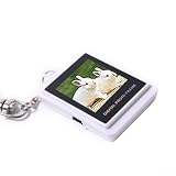 Digital Photo Frame 1.5 LCD Picture Album Keychain