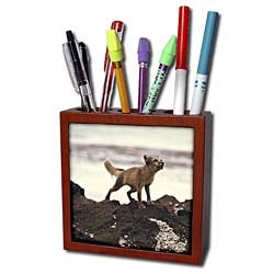 Florene Animals - Young Artic Wolf - Tile Pen Holders-5 inch tile pen holder (artic wolf)