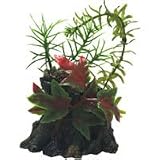 Marina Driftwood - Betta Bowl - 3 in. x 2 in. x 5 12 in.