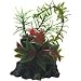 Marina Driftwood - Betta Bowl - 3 in. x 2 in. x 5 12 in.