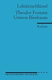 Theodor Fontane: Unterm Birnbaum - Lekt&uuml;reschl&uuml;ssel - Michael Bohrmann
