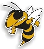 Georgia Tech Yellow Jackets 12 Car Magnet