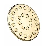 Phylrich 24 Jet Ceiling Mount Shower Head K835-11B