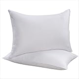 100% Cotton Sateen Down Alternative Pillow (Set of 2) Size: Queen by 