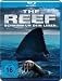 The Reef [Blu-ray]