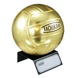 Tachikara Metallic Gold Autograph Volleyball