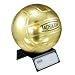 Sporting Goods : Tachikara Metallic Gold Autograph Volleyball