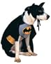 Batman Dog Halloween Pet Costume
