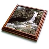 Sandy Mertens Colorado - Chasm Falls Rocky Mountain National Park - Trivets