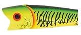 Rebel Lures Creek Chub Knuckle Head Jr 4