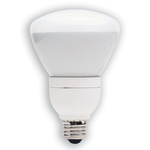 GE 21710 15 Watt (65W equivalent) Energy Smart Floodlight Dimmable R30 Light Bulb
