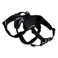 Web Master Harnesses Obsidian Black