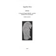 Lahun: A Town in Egypt 1800 BC, and the History of Its Landcape (Egyptian Sites) by Stephen Quirke