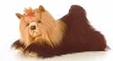 Aurora Plush Silky the 12-Inch Yorkshire Terrier