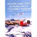 The 451st Bomb Group in World War II: A Pictorial History