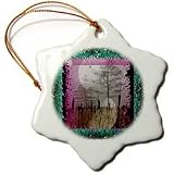 Schattenland shadowland shadow DarkFantasy fantasy TwilightZone mystery mysterious dream dreaml - 3 Inch Snowflake Porcelain Ornament