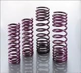 Intrax (30.1.032) Sport Springs - 3Dr Hatch (F 1.5