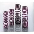 Intrax (28.1.010) Sport Springs - Coupe 4/6 Cyl Incl LX/LXi (F 2.0" R 2.0")