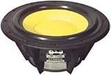 HiVi D8G 8 Kevlar/Paper Woofer