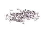 Assorted Aluminum Rivets
