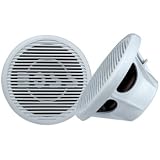 Boss MR100 10-Inch Marine Subwoofer 