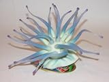 Small Anemone/ Light Blue