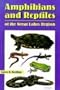 Amphibians and Reptiles of the Great Lakes Region (Great Lakes Environment)