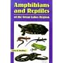 Amphibians and Reptiles of the Great Lakes Region &hellip by James H. Harding