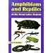 Amphibians and Reptiles of the Great Lakes Region