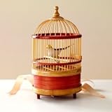 Singing Bird Cage