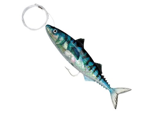 Williamson Live Mackerel