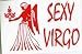 SEXY VIRGO Hooded Sweatshirt Small