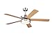 Westinghouse 7247700 Castle Two-Light Reversible Five-Blade Indoor Ceiling Fan, 52-Inch, Brushed Nickel Finish with Opal Frosted Glass