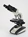 Ginsberg Scientific 7-1364 Research Binocular Microscope